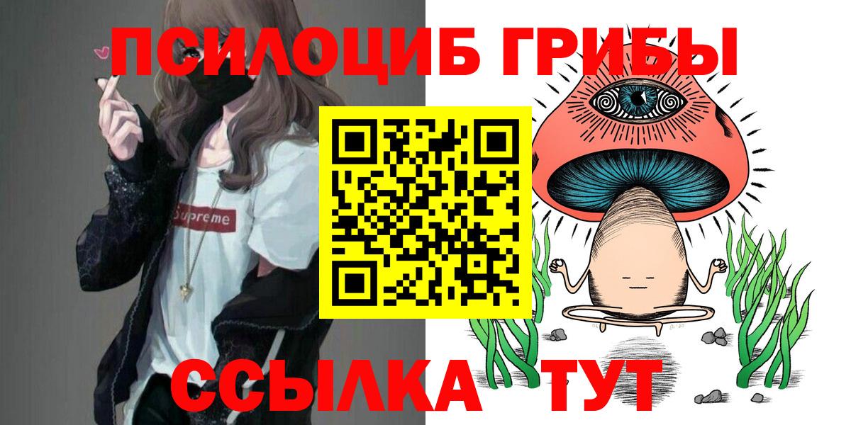 Псилоцибиновые грибы Psilocybe Ангарск